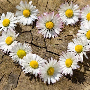 Meet your Posher, Ariella